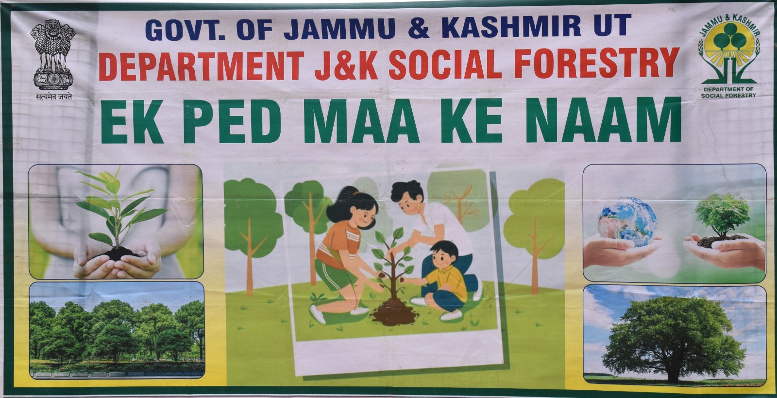 Plantation Drive